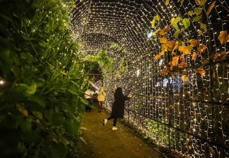 Świąteczna WARSZAWA + iluminacje świetlne w Ogrodzie Botanicznym - obrazek 4
