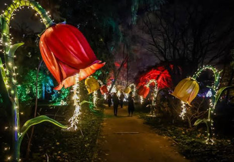 Świąteczna WARSZAWA + iluminacje świetlne w Ogrodzie Botanicznym - obrazek 5