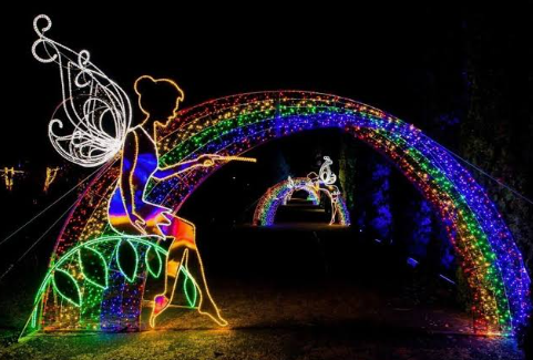 Świąteczna WARSZAWA + iluminacje świetlne w Ogrodzie Botanicznym - obrazek 3