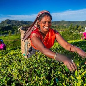 Sri Lanka - rajska wyspa, zwiedzanie i wypoczynek, wycieczka samolotowa